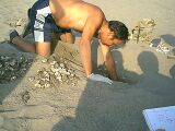 Digging
