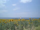 Heles point lighthouse