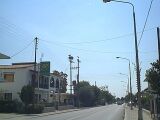 Herons on Lamp posts