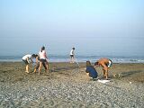 Measuring turtle tracks