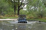 Long video clip of Maggie the Land Rover